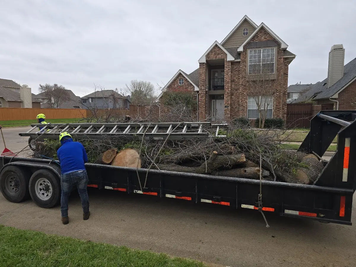 Expert Crown Reduction with proper safety equipment in South Newfane